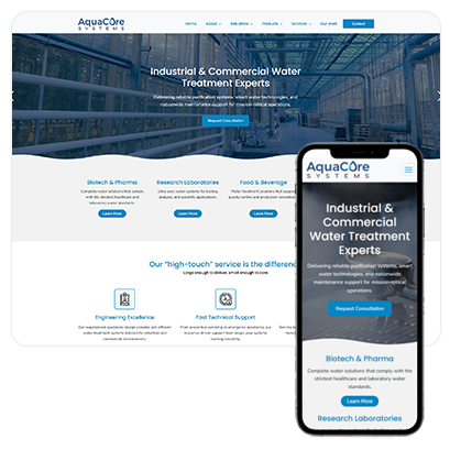 Professional Website Plan