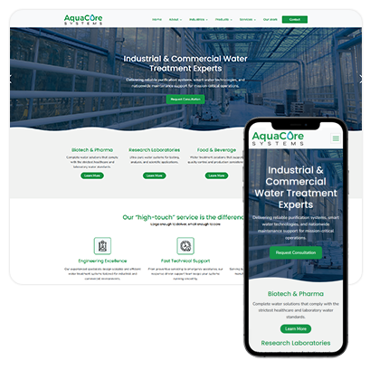 Professional Website Plan