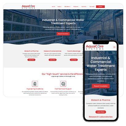 Professional Website Plan